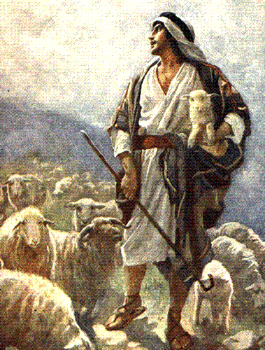 David